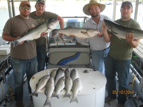 Nice Striped Bass